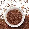 TOHO 8/0 Round Beads SEED-XTR08-1825-3