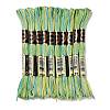 10 Skeins 6-Ply Polyester Embroidery Floss OCOR-K006-A22-1