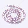 Natural Cultured Freshwater Pearl Beads Strands PEAR-R063-31B-2