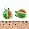 Opaque Resin Pendants RESI-S013-02E-2