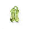 Transparent Acrylic Pendants MACR-N013-038-A01-3