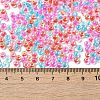 Transparent Glass Round Seed Beads SEED-B001-05A-14-4