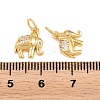 Brass Micro Pave Clear Cubic Zirconia Charms KK-H292-56B-G-3