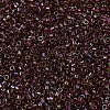 MIYUKI Delica Beads SEED-JP0008-DB1748-3