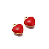 Stainless Steel Charms PW-WG0E535-12-1