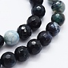 Faceted Natural Agate Beads Strands G-F561-6mm-D10-3