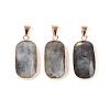 Natural Labradorite Pendants G-N349-03C-G-1