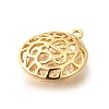 Brass with Cubic Zirconia Pendants KK-E792-28G-02-2