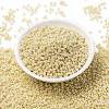 MIYUKI Round Rocailles Beads SEED-JP0009-RR0441-2