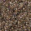 Glass Seed Beads SEED-S042-13A-16-3