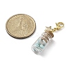 Natural Amazonite Chip inside Glass Wishing Bottle Pendant Decoration HJEW-JM03130-01-3