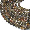 Natural Petrified Wood Beads Strands G-K389-B33-01-3