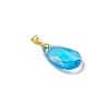 Faceted Teardrop Glass Pendants PALLOY-JF03737-01-4