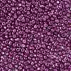 8/0 Glass Seed Beads SEED-A017-3mm-1121-2