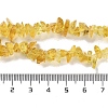 Transparent Glass Beads Strands GLAA-P060-01A-13-4