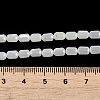 Electroplate Glass Beads Strands EGLA-D031-01D-4
