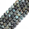 Frosted Natural African Turquoise(Jasper) Round Beads Strands X-G-D746-6mm-1