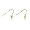 304 Stainless Steel Earring Hooks STAS-D448-036G-2