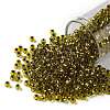 TOHO Round Seed Beads X-SEED-TR08-0747-1