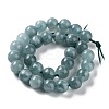 Dyed Natural Malaysia Jade Beads Strands G-G021-01A-01-3