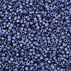 MIYUKI Delica Beads LS-X-SEED-J020-DB2319-2