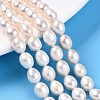 Natural Cultured Freshwater Pearl Beads Strands PEAR-N012-23C-01-1