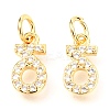 Brass Micro Pave Cubic Zirconia Charms ZIRC-O037-21G-1