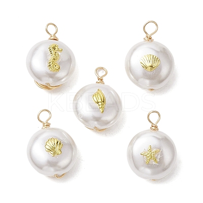 ABS Plastic Imitation Pearl Pendants PALLOY-JF02601-04-1