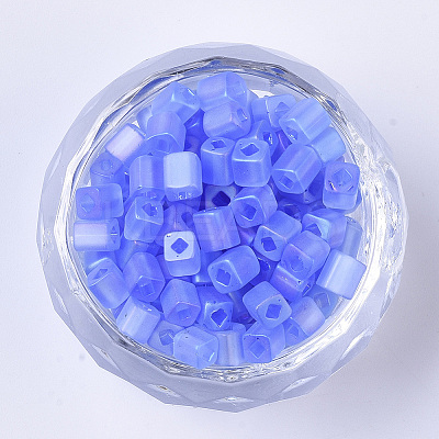 6/0 Transparent Glass Seed Beads X-SEED-S027-03B-06-1