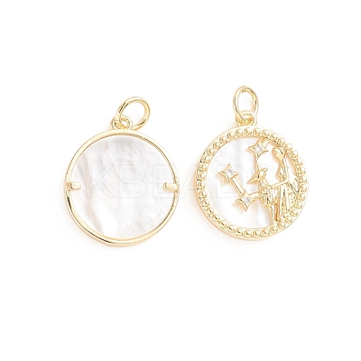 Brass Micro Pave Cubic Zirconia Pendants ZIRC-E164-36H-G-1