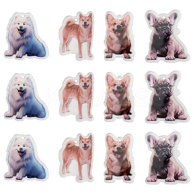 12Pcs 4 Styles Printed Acrylic Pendants OACR-TA0004-14B-1