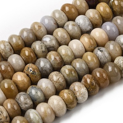 Natural Fossil Coral Beads Strands G-A280-A08-03-1