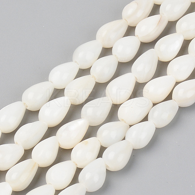 Natural Freshwater Shell Beads Strands SSHEL-R048-007B-1