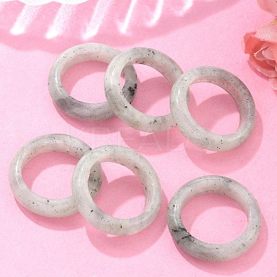 Natural Labradorite Plain Band Rings PW-WG25917-07-1