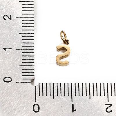 304 Stainless Steel Charms SA-CBABF3F-01G-S-1