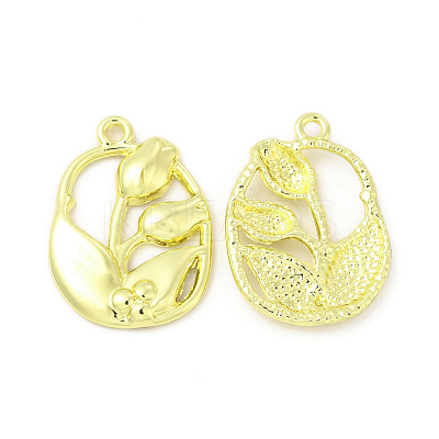 Rack Plating Alloy Pendants FIND-C018-30LG-1