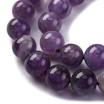 Gemstone Beads Strands G-S024-1