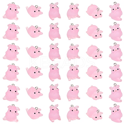 36Pcs 6 Styles Luminous Translucent Resin Pendants RESI-SZ0003-30-1