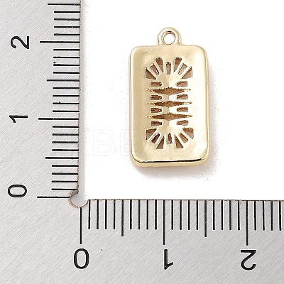 Brass with Clear Cubic Zirconia Pendants KK-Z061-21C-G-1