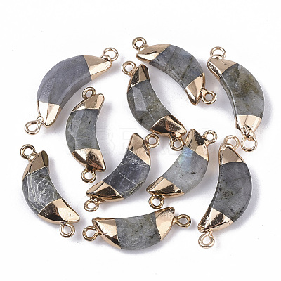 Natural Labradorite Links connectors G-S359-054A-1