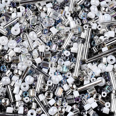 FGB Glass Seed Beads SEED-S056-001-1