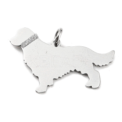 Non-Tarnish 304 Stainless Steel Pendants X-STAS-E205-10P-1