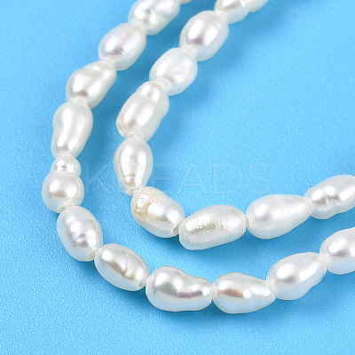 Natural Cultured Freshwater Pearl Beads Strands PEAR-N012-02Y-01-1