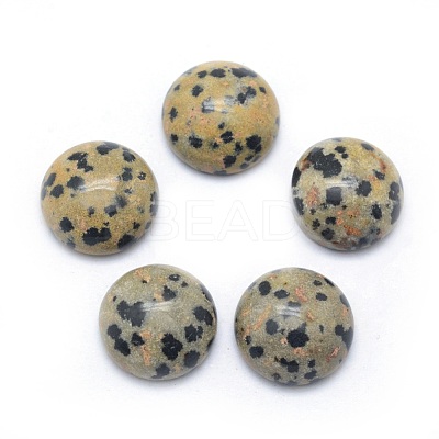 Natural Dalmatian Jasper Cabochons G-P393-R33-14mm-1
