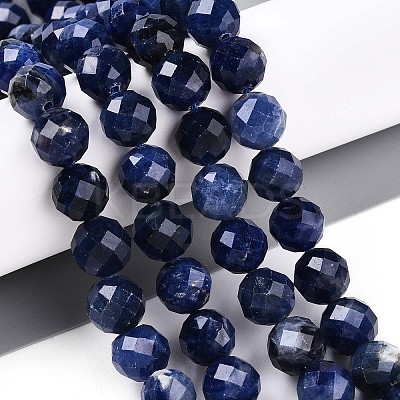 Natural Sodalite Beads Strands G-S345-10mm-26-1