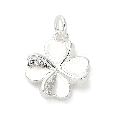 925 Sterling Silver Charms FIND-Z069-04S-C-1