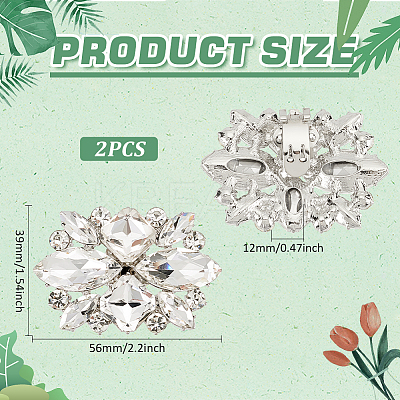 1 Pair Flower Alloy Glass Rhinestone Shoe Decorations FIND-FG0003-37-1
