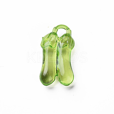 Transparent Acrylic Pendants MACR-N013-038-A01-1