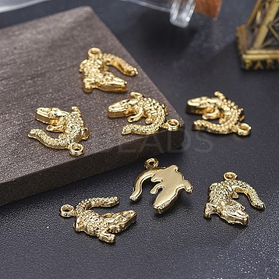 Alloy Pendants X-TIBEP-A040-015G-NR-1