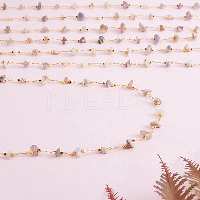 Natural Botswana Agate Chips Beaded Chains CHC-SZ0001-62E-1